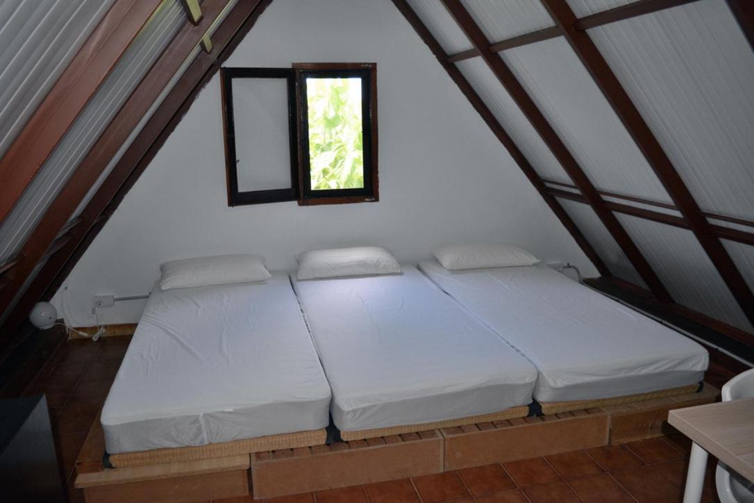 Conxita Del Delta - 2 Habitaciones Els Muntells Kültér fotó